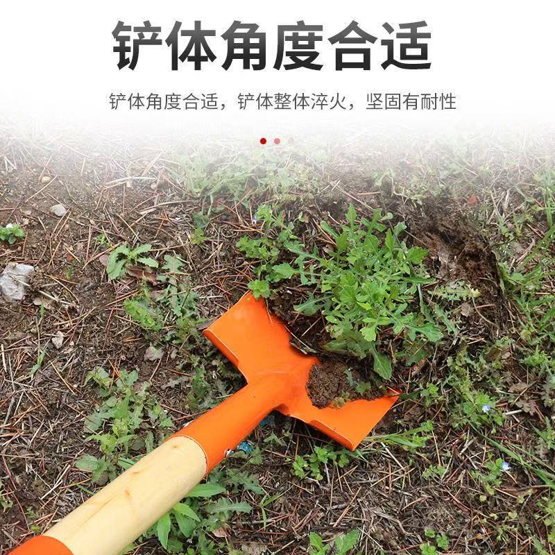 微信图片_202504211625382.jpg