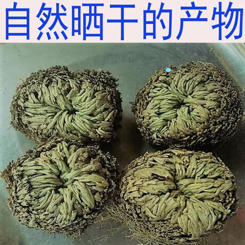 Dried Selaginella Juan Bai 500g Whole Herb Traditional Chinese Herbal Tea Material quality and texture