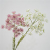 Realistic photography props, (Physicals), lace dress, home decor
