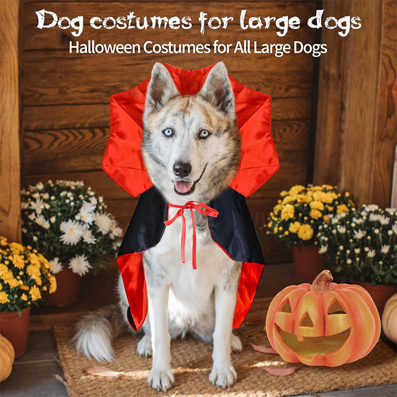 国境を越えた人気のハロウィーンの吸血鬼の猫と犬のコスチューム、雰囲気のある魔法の魔女マント、面白い猫と犬のマント|undefined