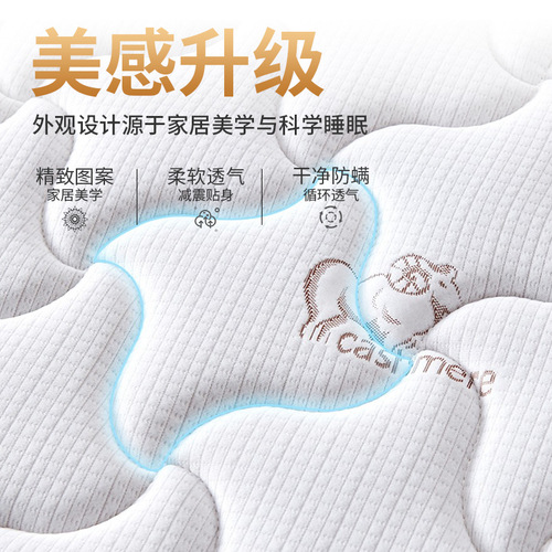 Independent Spring Mattress for Apartments, Hotels, and Homes - Double Size, Simmons Latex Coconut Matress, Soft and Firm Dual Use