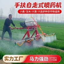 ַʽșC߉rüͲ׹@С݆șC