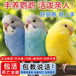 �W�^���B��Ƥ�W�^�B�С�B���W�fԒ���B���B����С���W�^һ��һĸ