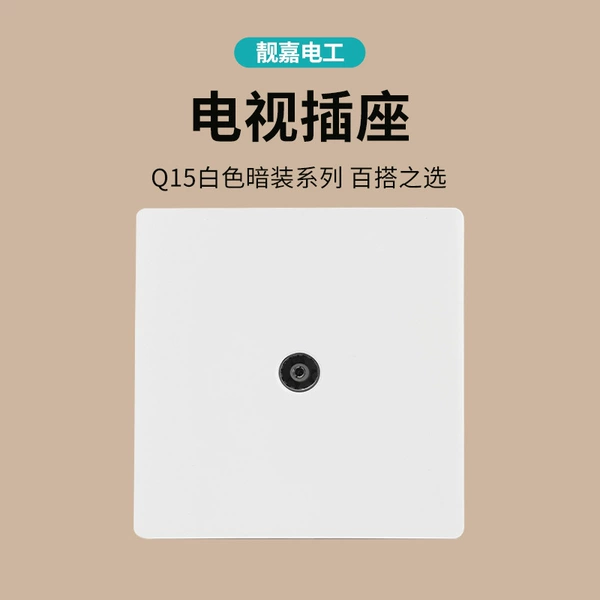 Q15 TV socket