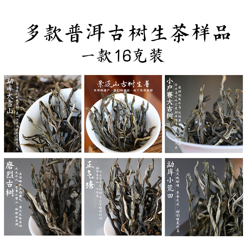 2024云南古树普洱茶生茶批发样品易武冰岛/老班章/景迈勐库普洱茶