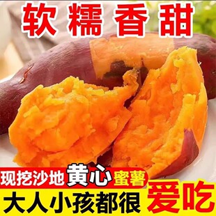 �������żt����������ɳ���������r�SƤ�S�ļt�����Ϸ�����Ŵ�ع�