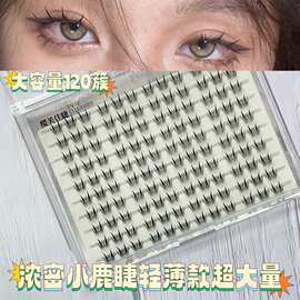 超大量轻薄款浓密小鹿睫假睫毛自然漫画眼仿真单簇眼睫毛随取随用