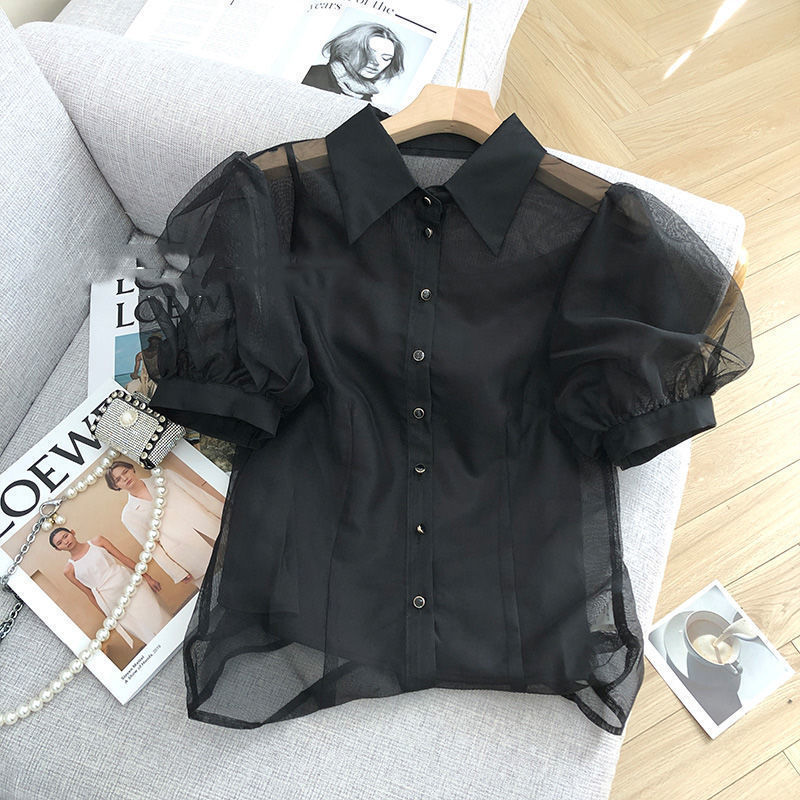 Black Transparent Mesh Puff Sleeve Short-Sleeved Shirt for Women Summer 2025 New Style Loose and Versatile Top Ins Trend