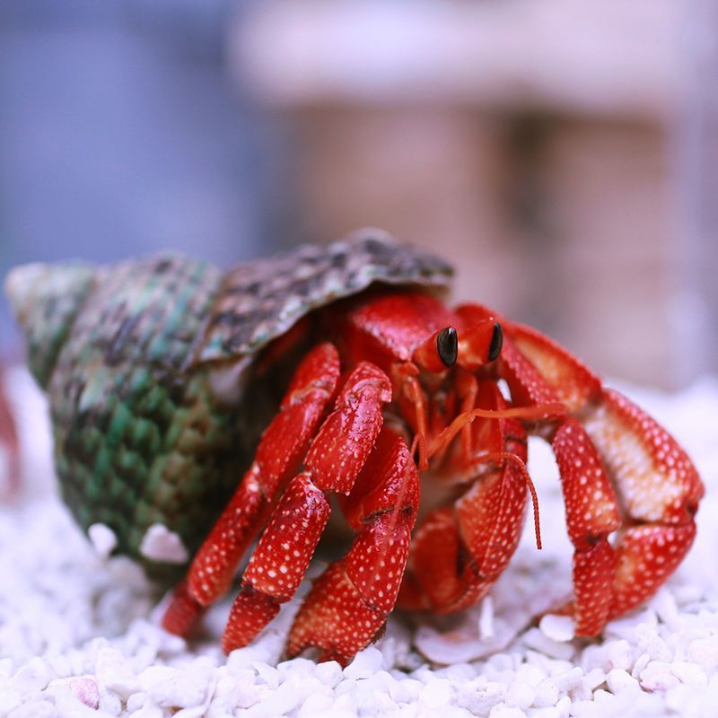 ba6e4f71-6c52-4c8d-8a57-9043a2d3ce21.jpe