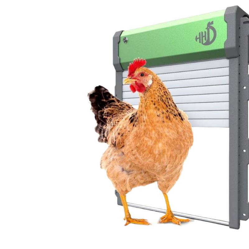 Incubadora de huevos doméstica pequeña automática para mascotas, equipo de cría inteligente para pollo de pollo