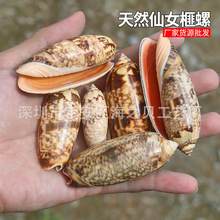 �ȿ������Ů����Ȼ����ؐ�� �~��ˮ���쾰�bӼҔ[�O������Ƥ
