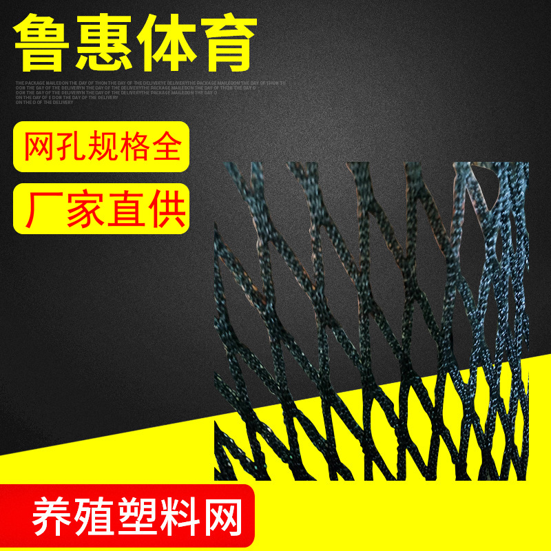 无结网小孔围网 学校体育场地安全绿色围网 无结网PE养殖围网