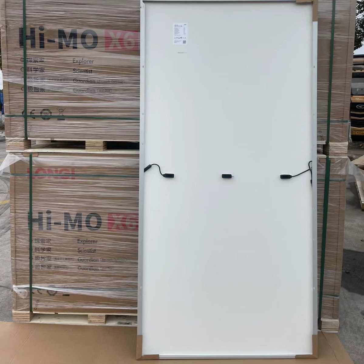 2024-03-11 15:09:46.jpg