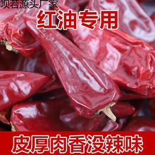 �彷�������������F�彷�����t�½��彷�t���͝�����