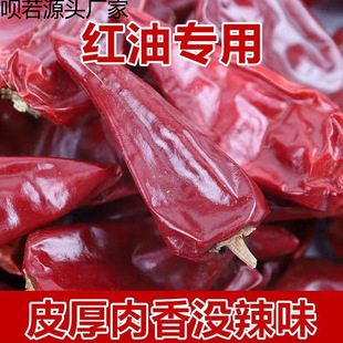 �彷�������������F�彷�����t�½��彷�t���͝�����
