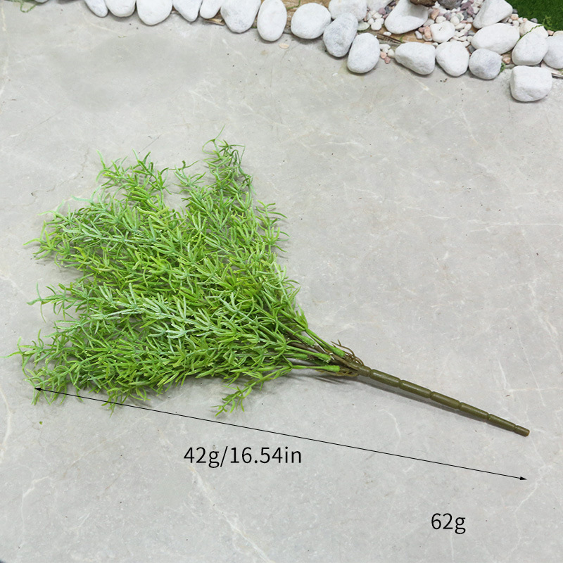 B-verde pálido - Asparagus