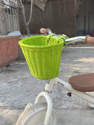 Electric car tail box: imitation rattan vintage storage tool - fruit-green-medium-size-211616cm-default-item