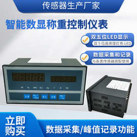 隆旅WCL-103称重控制仪智能型称重拉压力传感器数显仪表
