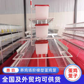 供应养鸡场用A型阶梯蛋鸡笼热镀锌蛋鸡笼 母鸡自动滚子鸡用