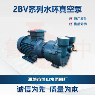 2BV5121系列高真空度水环式真空泵博山2BV真空泵铜配件不锈钢