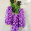6 leaves light purple