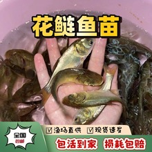 �㽭���|�����~������~����^�~�����^�~���ɏ�~�����ˮ�|�~��