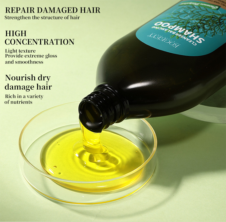 KOGEEYY Cross-border Exclusive Platycladus orientalis Leaf Oil-Control Shampoo, Plant-based Anti-dandruff and Anti-itch Shampoo 500ml undefined