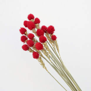 Strawberry fruit dried flower bouquet monk head handmade DIY material wedding bouquet matching materials home decoration flower arrangement ornaments