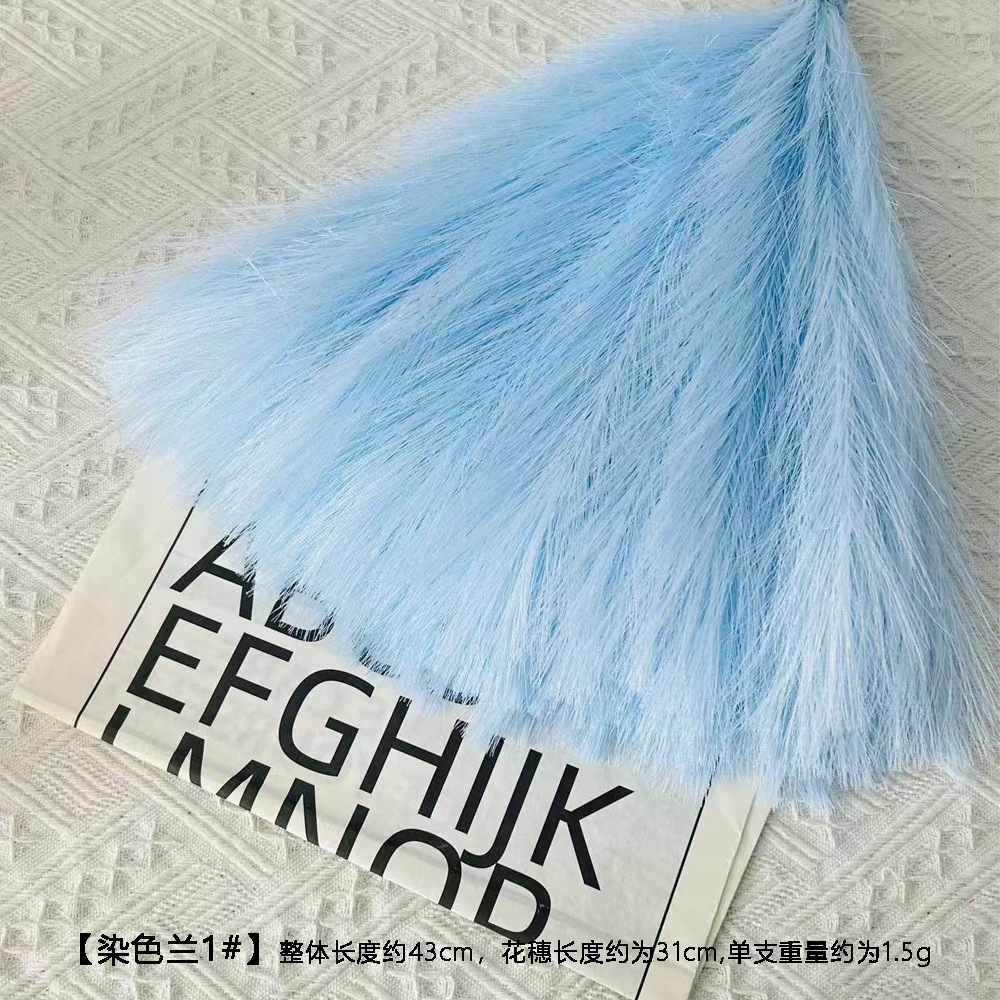 Root único teñido azul # 1