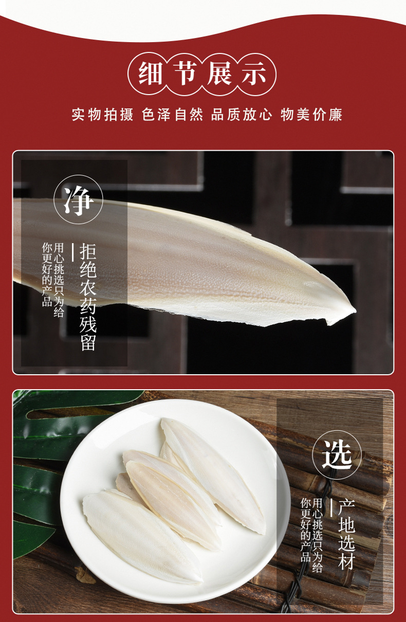 Hai Piao Xiao (Sepia esculenta) — Dried Cuttlebone Piece, Traditional Chinese Herb quality and texture