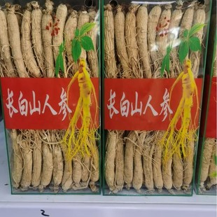 ���]�L��ɽ�˅����񅢖|���خa�ش�Ʌ��ׅ���Ƭ����Ҝ��ݾ�