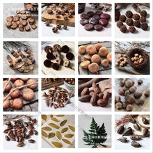 ɻlƬɻLɹɻС»޹DIY