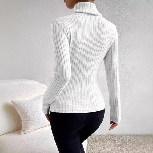 2026 Spring and Autumn Tk Multi-Color Limited Edition High-Neck Long-Sleeve Velvety Ribbed Knit Top