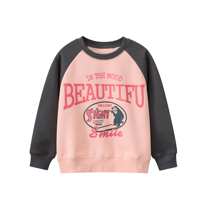 GRrr跨境童装批发女孩秋冬季 儿童卫衣加绒中大青年衣服一件代发