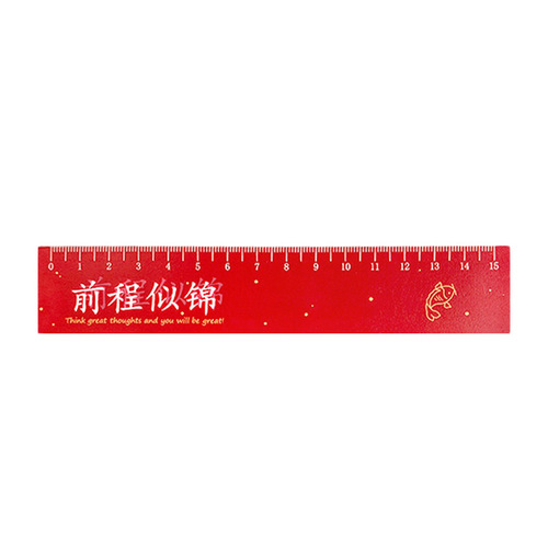 Live up to your youth with inspirational text ruler 15cm creative magnetic soft ruler special scale for student painting