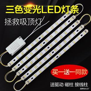 �l��Q�NƬ׃��LED��Դ��ɫ��о���N�L�l�pɫ�����led������