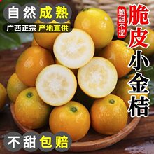 �V����Ƥ���10�����r����ˮ������������С����ЋD���]����