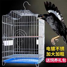 ���P䓼Ӵֽ����B�\�����Bֳ��˼�\��Ƥ�����ش�̖�B�\