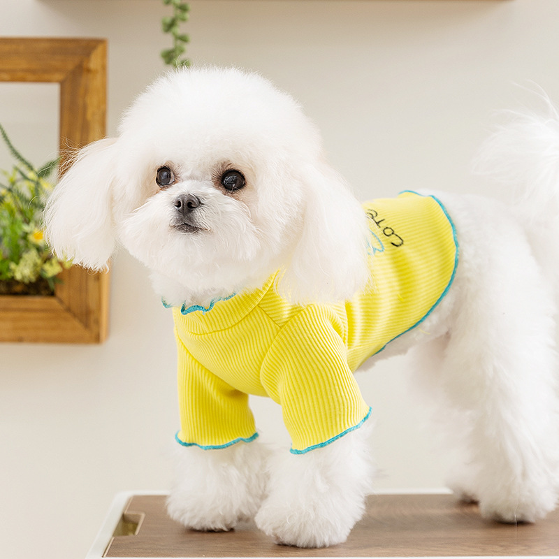 Primavera y verano perros dos pies ocio té de la tarde ropa doméstica perros pequeños y gatos aire acondicionado ropa de peluche ropa de mascotas