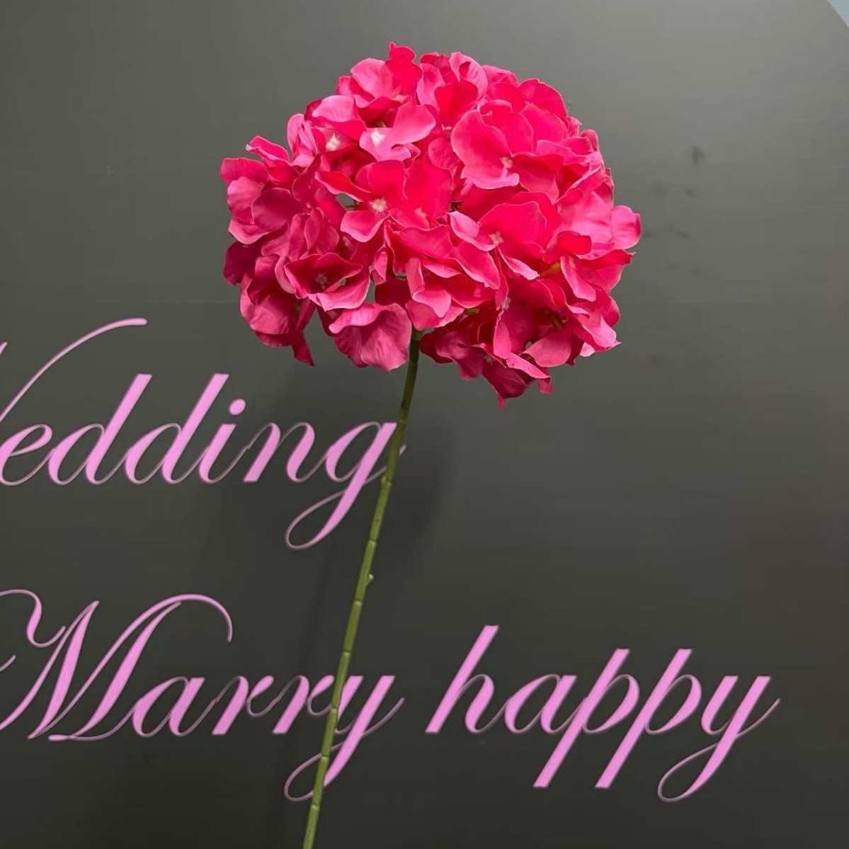 2025-04-25 09:05:36.jpg