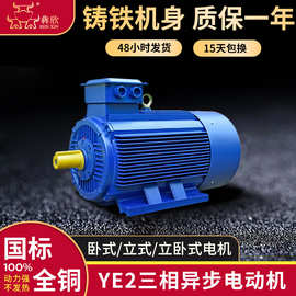 YE2-4极三相异步电动机45KW55kw 75kw90kw卧式国标电机110kw批发