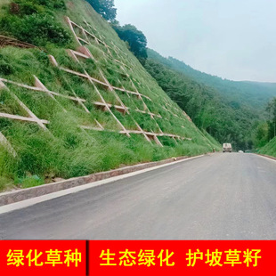 �ɶ��o�²������lȔ����é�����ݺӵ̷��o�����o�»�ϲݷN