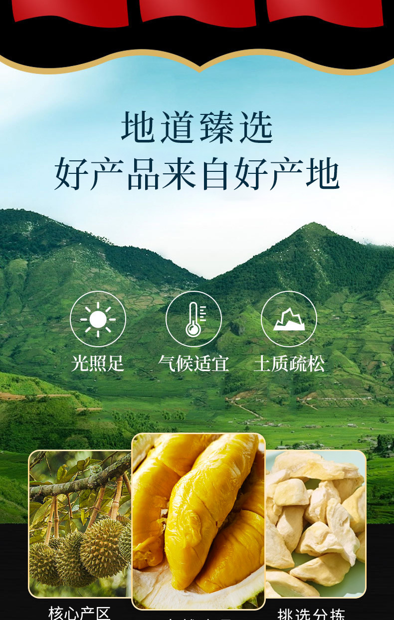 Freeze-Dried Durian (Durio zibethinus) — Monthong Golden Pillow Fruit Snack, 500 g key features