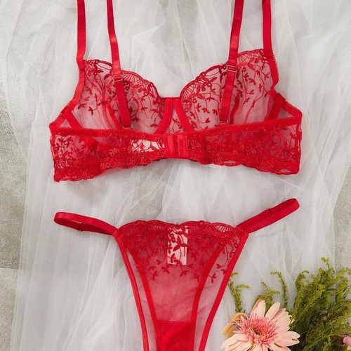 Sexy Lingerie: Bestselling European and American-Style Embroidered Sheer Sets for Women