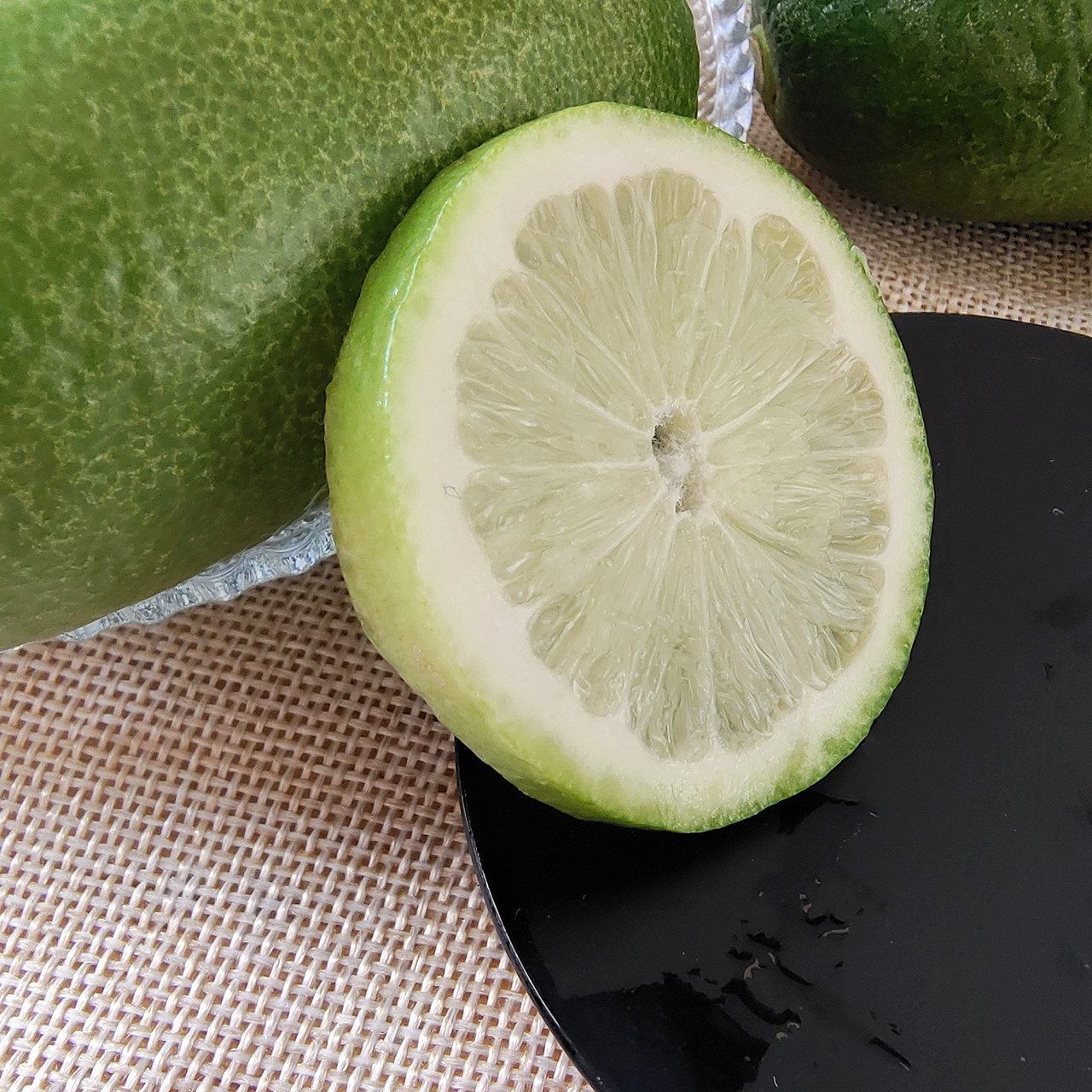 b921223f5838232cdbf581755a58f4