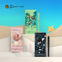 畢加索鋼筆海洋系列男女生高檔精緻禮盒硬筆書法小學生三年級專用