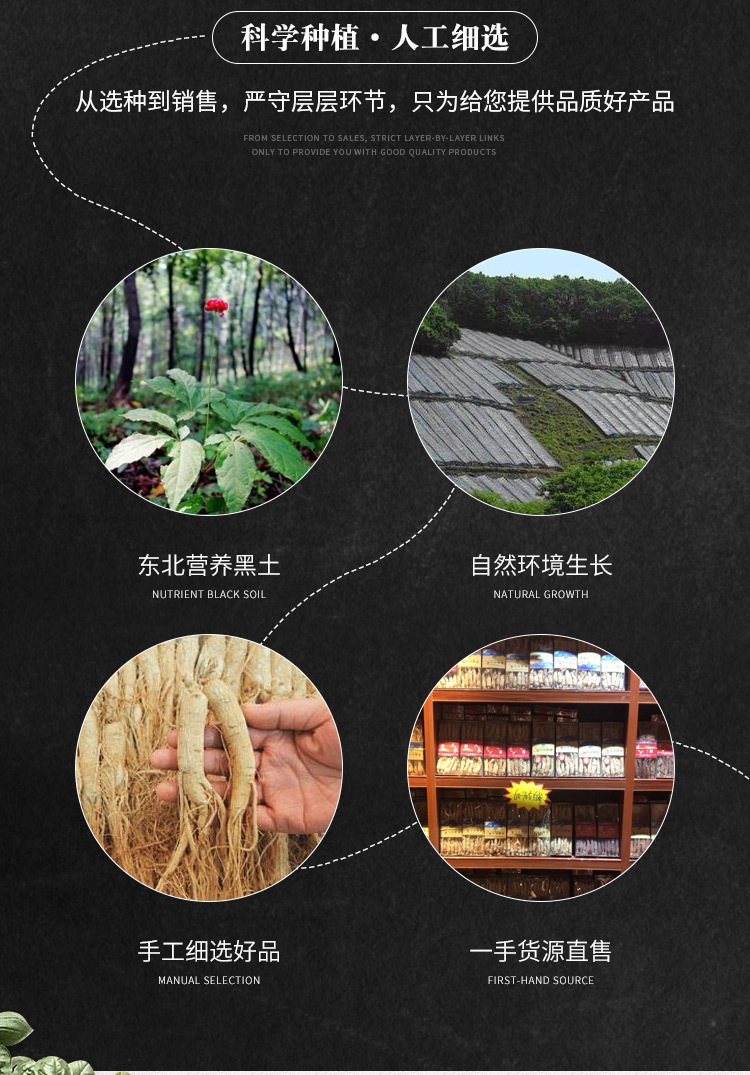 Changbai Mountain White Ginseng Gift Box Whole Root with Fine Roots 5 Pieces Dried for Cooking and Nourishing quality and texture