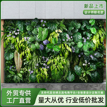 ����ֲ����w�Gֲ�������ٻ��쾰���챳�����澰�^�M���҃��b�