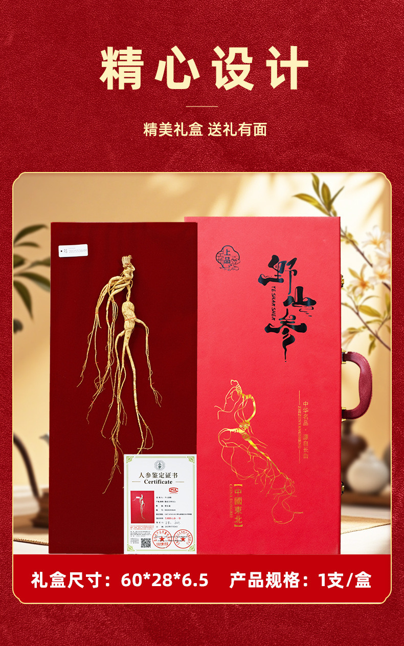 Changbai Mountain Wild Forest Ginseng Root Dried Whole Root for Traditional Herbal Decoction and Gift Box specifications