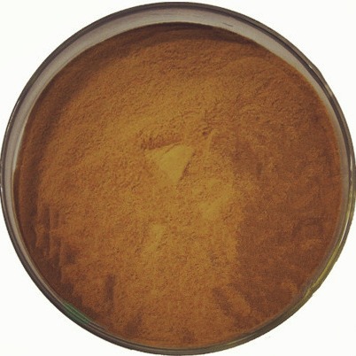 海参提取物 海参粉 Sea cucumber powder